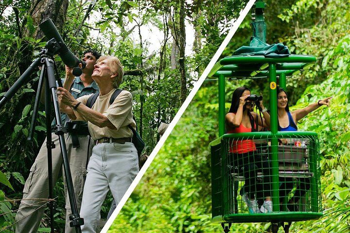 AERIAL TRAM TOUR - HALF DAY PASS Rainforest Adventures Braulio Ca - Photo 1 of 10